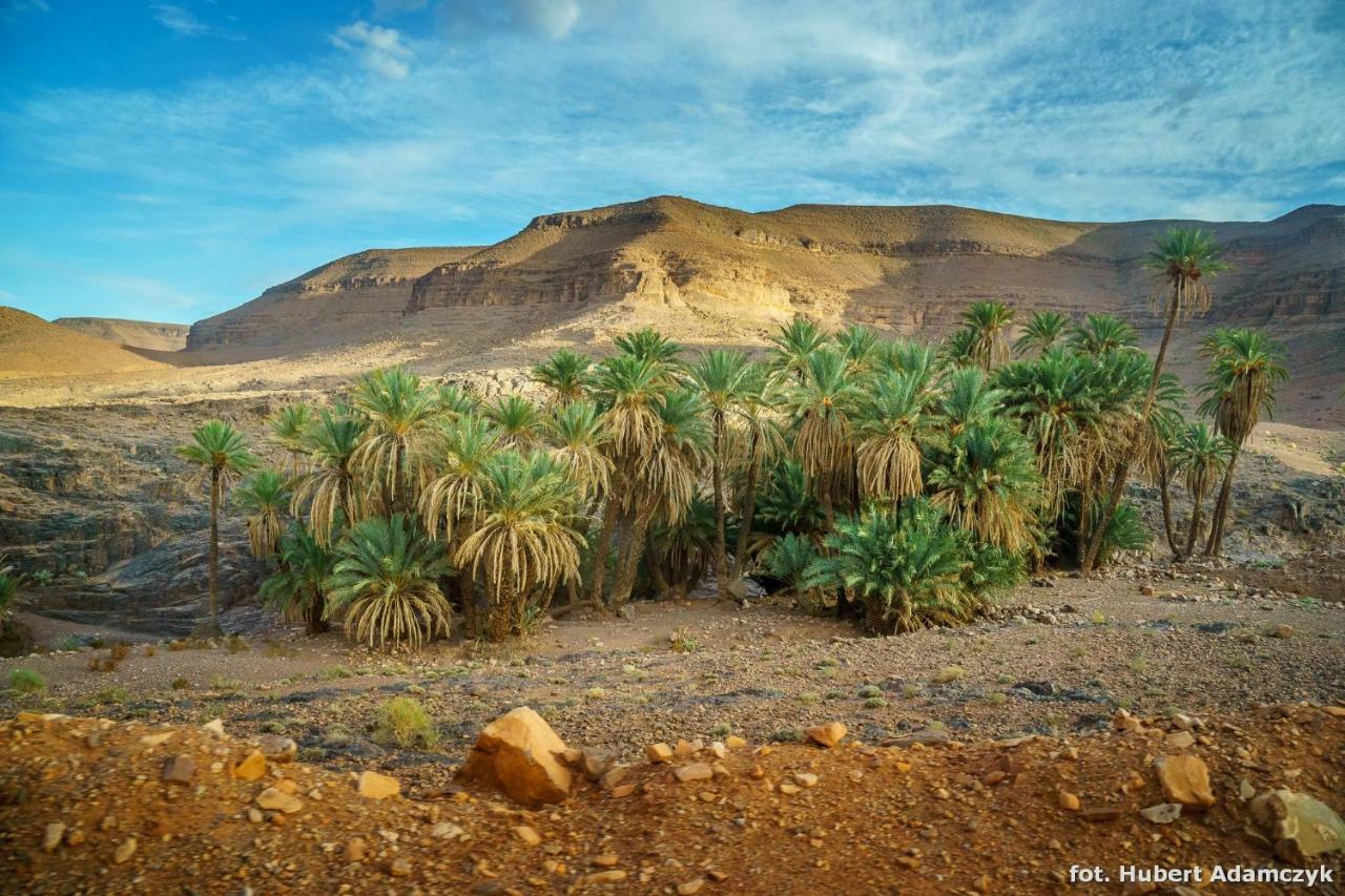 Ouednoujoum Ecolodge & Spa Ouarzazate Exteriör bild
